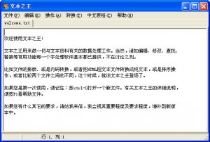 文本之王
