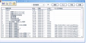 横行天下FLV视频工具