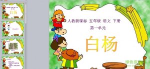 白杨ppt课件完美版