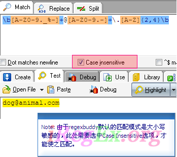 正则表达式工具RegexBuddy用图文课程