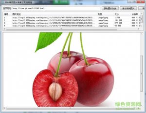 京东产品图片批量采集器v1.1 绿色免费版