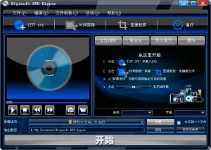 Bigasoft DVD Ripper