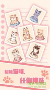 宠物猫培养云撸猫v1.0 Android版