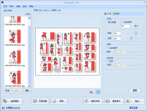 多照片自动拼贴(Picture CollageIt Pro)