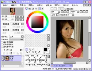 Easy Paint Tool SAI