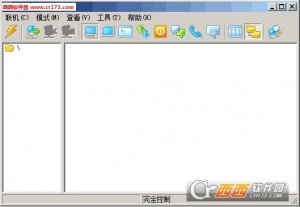 Radmin远程控制软件