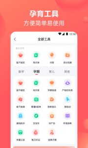 孩子树孕育