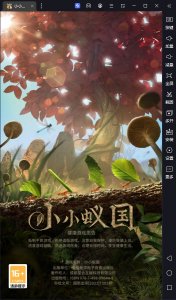 小小蚁国