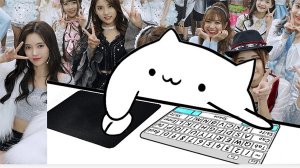 按键宠物猫完美全键盘版(bongo cat mver) v