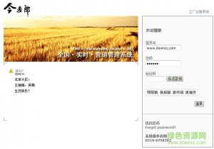 今麦郎营销管理软件 v1.0