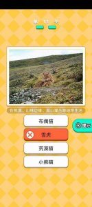 动物研究院游戏 v1.3 Android版