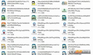 金馆长小叮当表情包