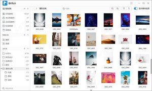 billfish素材管理工具 v3.0.33.8