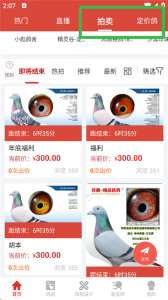搜鸽天下App v2.2.2.4