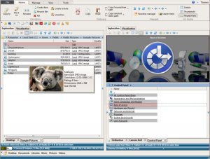 Orthodox文件管理器(FileVoyager)