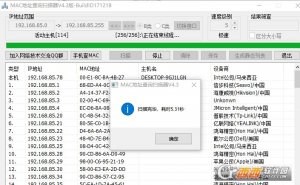 MAC地址查看扫描器