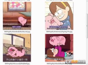 你是我最喜欢的猪表情图片