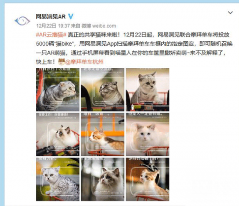 摩拜单车“猫bike”在哪儿 如何用 什么时间结束