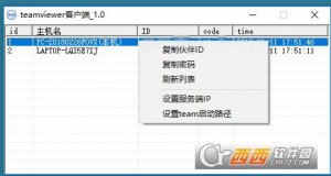 TeamViewer超级辅助工具