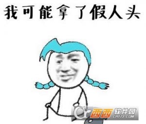 我可能玩了假王者荣耀表情包